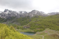 IMG_8488