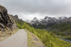 IMG_8490
