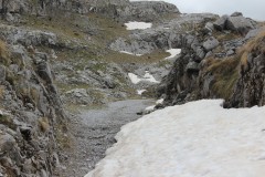 IMG_8494