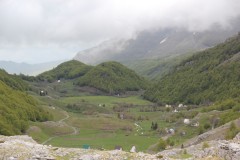 IMG_8495