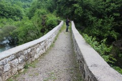 IMG_8505