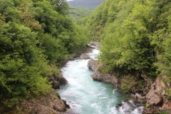 IMG_8507