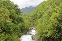 IMG_8508
