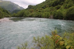 IMG_8510