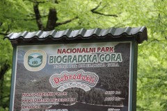 IMG_8514