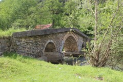 IMG_8527