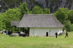 IMG_8529