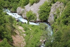 IMG_8537