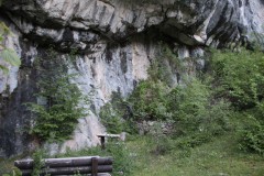 IMG_8569