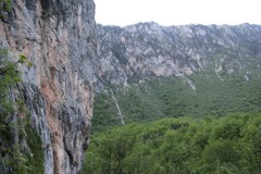 IMG_8572