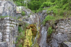 IMG_8581