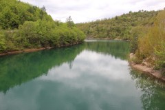 IMG_8589