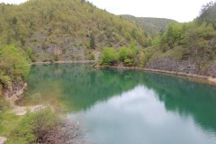 IMG_8590