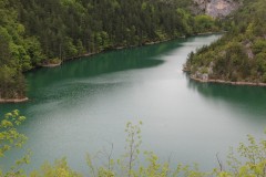 IMG_8592
