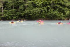 IMG_8601