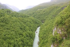 IMG_8606