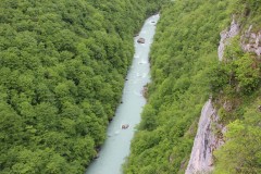 IMG_8607