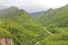 IMG_8608