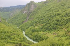IMG_8609