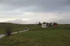 IMG_8621
