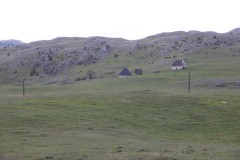 IMG_8622
