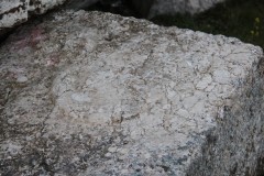 IMG_8633