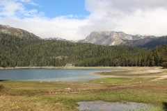 IMG_8653