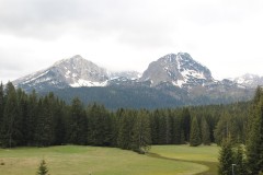 IMG_8662