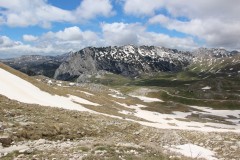 IMG_8667