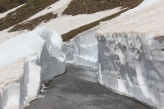 IMG_8670