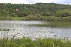 IMG_8685