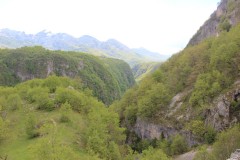 IMG_8690