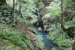 IMG_8694