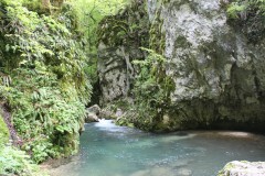 IMG_8695