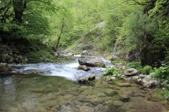IMG_8696