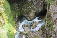 IMG_8699