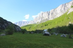 IMG_8701