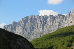 IMG_8703