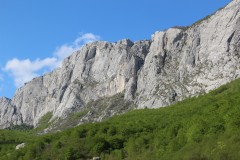 IMG_8704