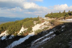 IMG_8707