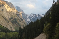 IMG_8711