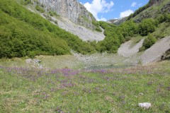IMG_8721