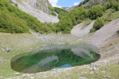 IMG_8722