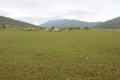 IMG_8750