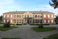 IMG_8754
