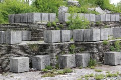 IMG_8787