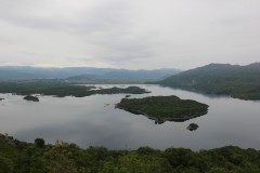 IMG_8795