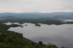 IMG_8796
