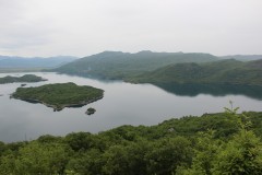 IMG_8797