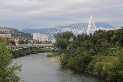IMG_8840